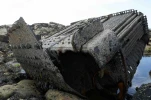 Boîtes à feu