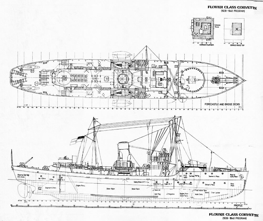 flower-class-early-type1939